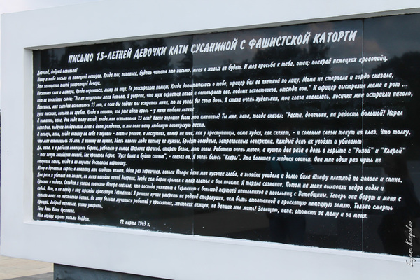Дневник партизана Дзяковича, сколько же может человек вынести?!