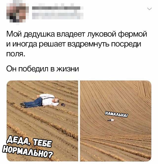 Нестандартный юмор