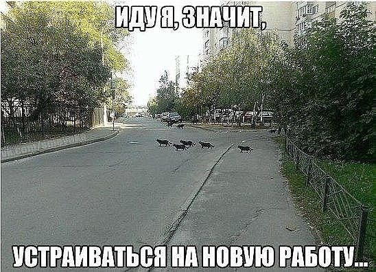 Немного картинок для настроения 19.11.19