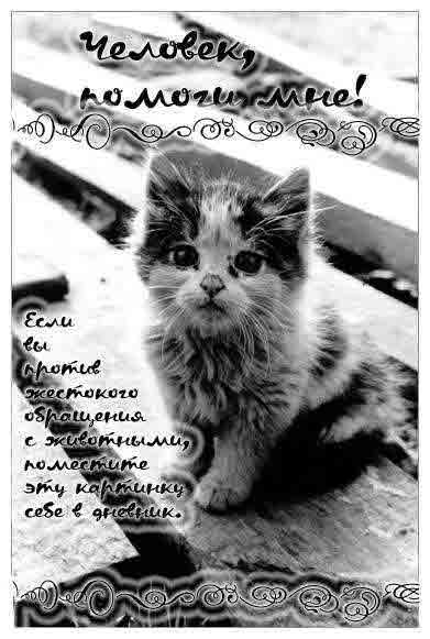 Международный день домашних животных