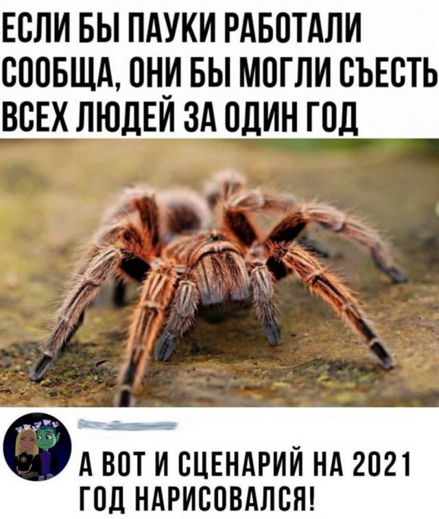Картинки и мемы для настроения 007