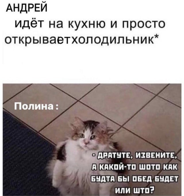 Баянисто-небаянистый юмор 21.01.21