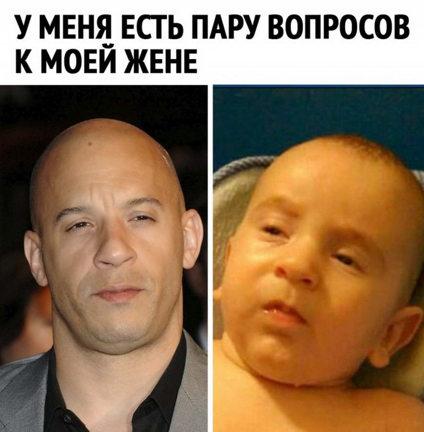 15192919.jpg