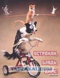 Бой Ф. Емельяненко - Д. Монсон