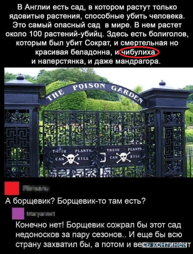 Фотки и картинки: юморные и красивые, забавные и милые 12.03.21