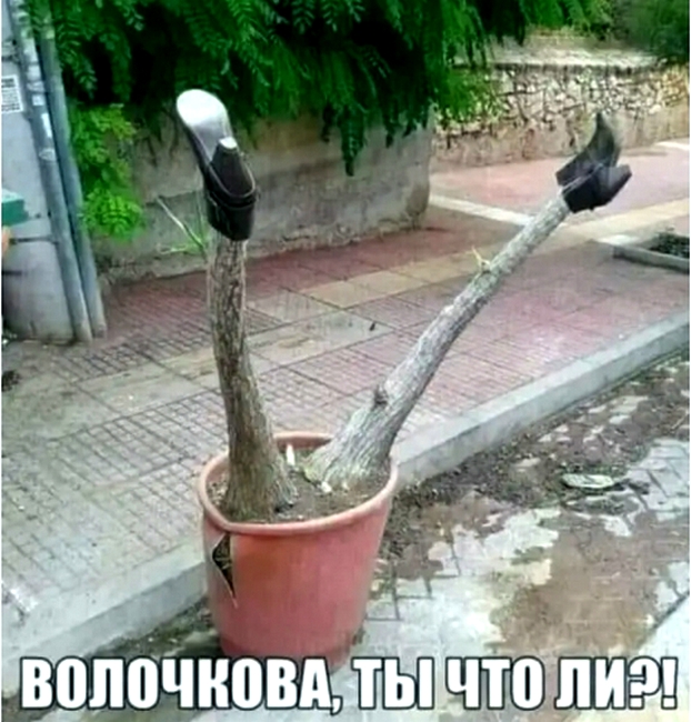Воскресные картинки
