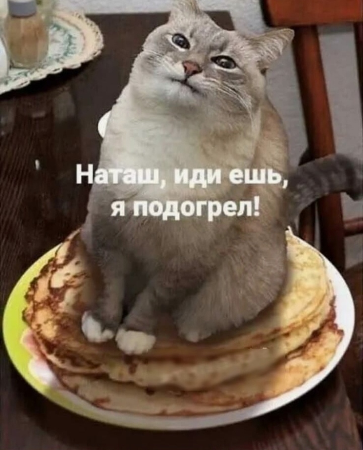 16462919.jpg