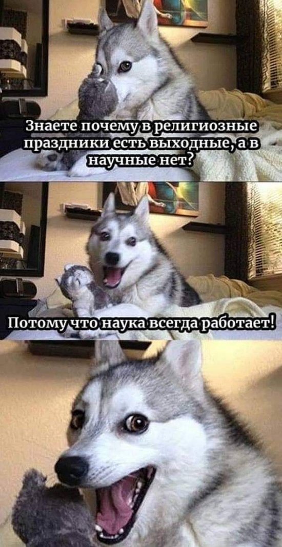 Юмор из Сети 20.06.22