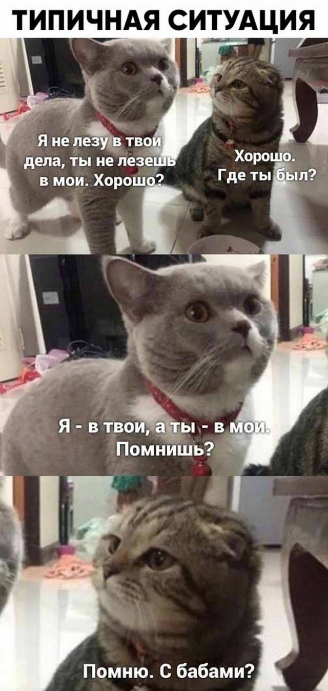 Так себе картинки 17.12.22