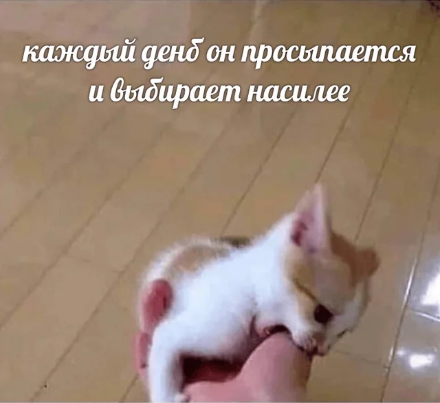 Нуштош 10.08.2023
