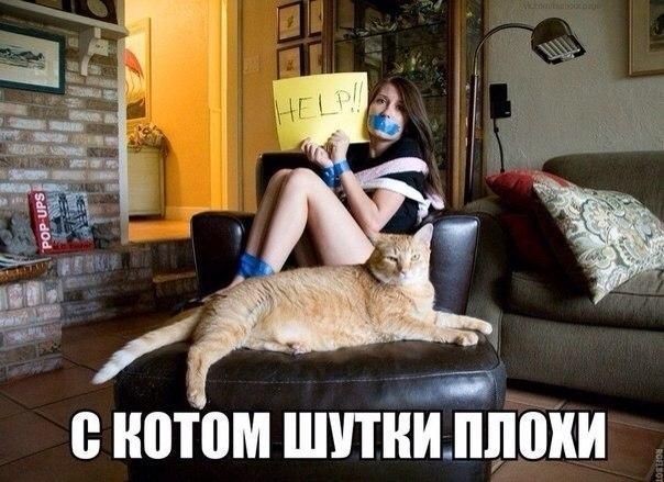 Так себе картинки 16.10.23