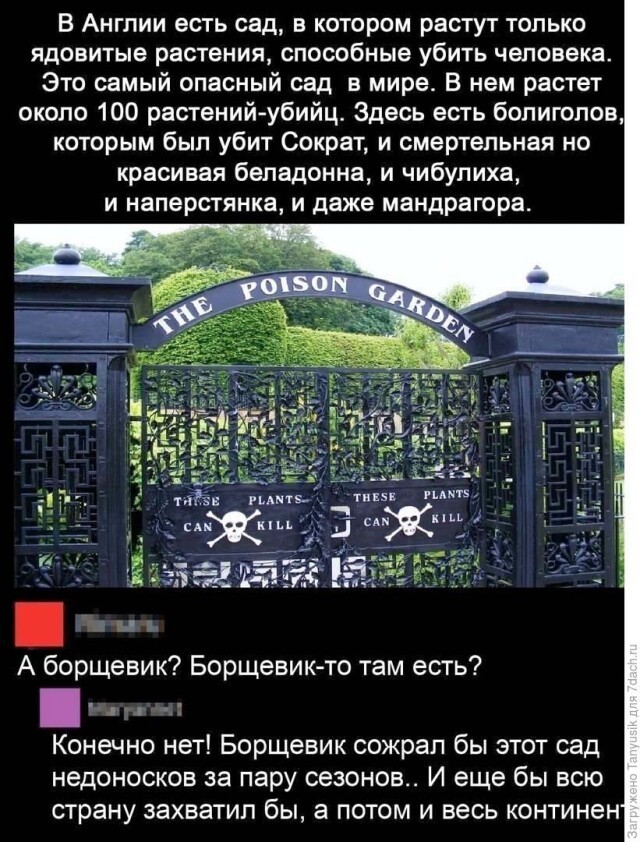 Отряд быстрого деградирования