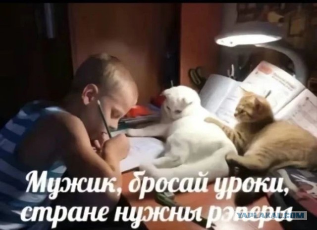 Приколы с налетом деградации