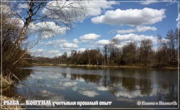 Рыба ... коптим ...