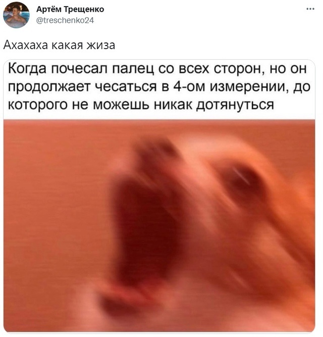 Нуштош 25.10.2024
