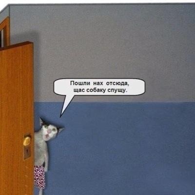 Вонючя квартира