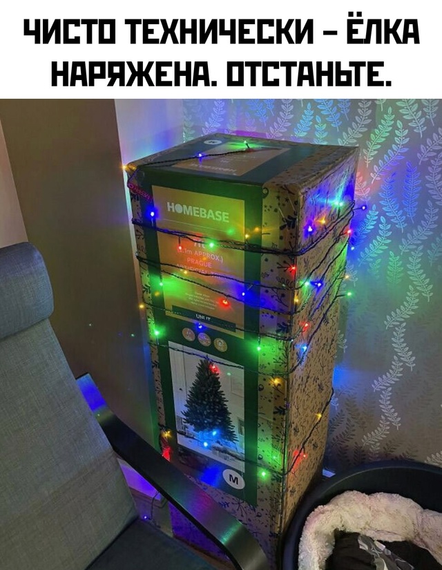 Весёлый полтишок 29.12.24