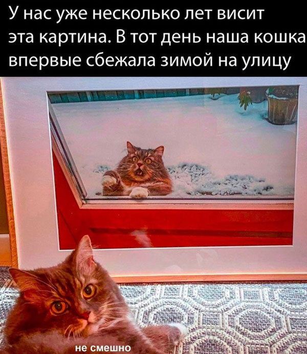 Мало кто знает, что если в Windows 11 нажать
