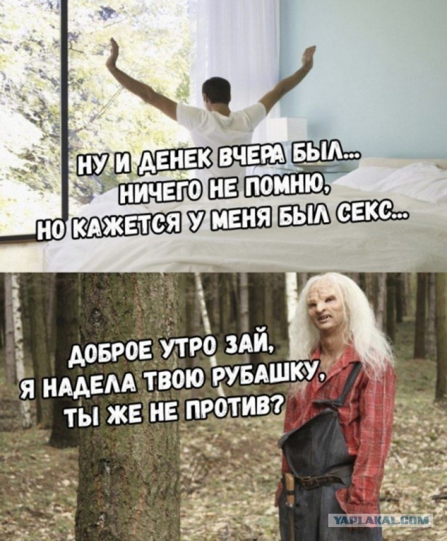 Праздничная дичь. Ударная доза