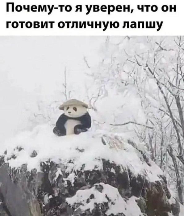 Субботние картинки