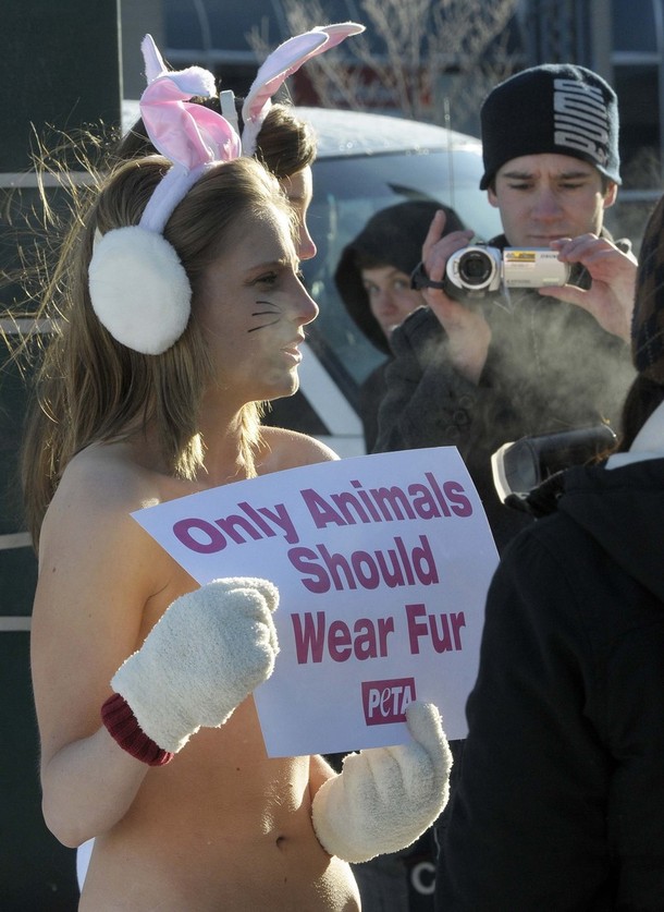 Без мозгов и без мехов на морозе