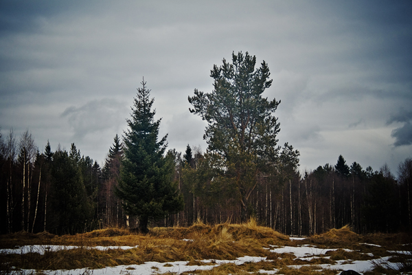 Скоро зима, товарищи !