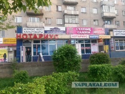 Помоги даше найти нотариуса