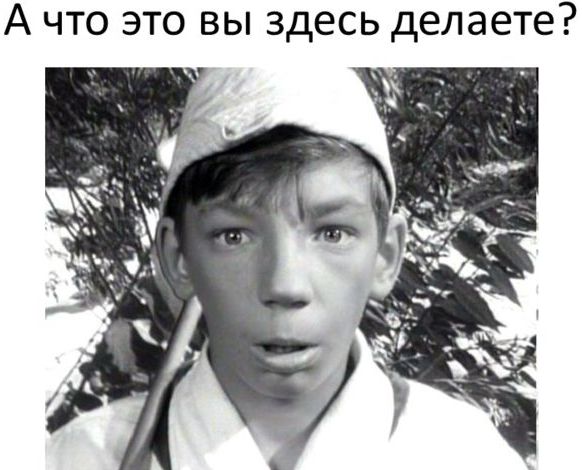 Когда вы плюсуeтe тему в платине