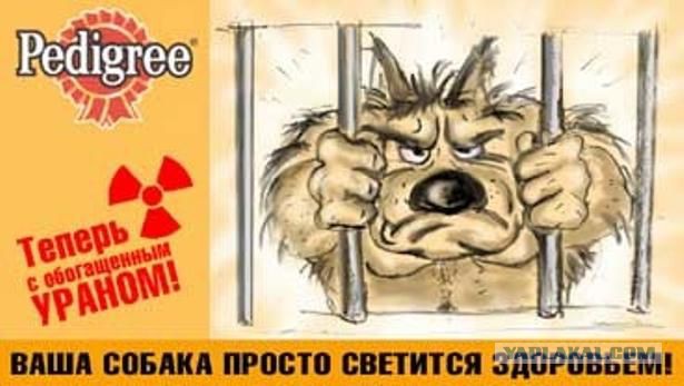 Чёрный юмор