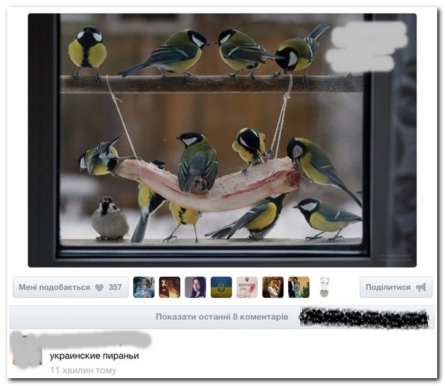 Смешные комментарии из социальных сетей