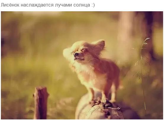 А картинки?
