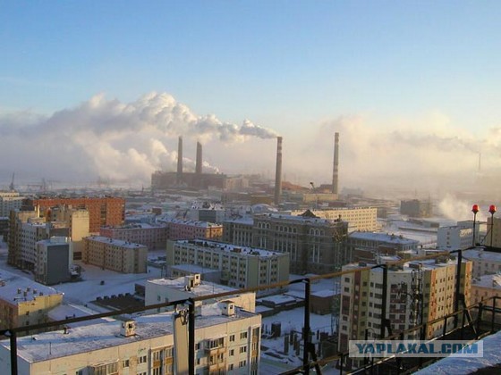 Настоящая цена дешевых китайских товаров