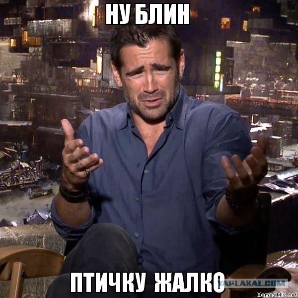 Погиб Арёл молодой !