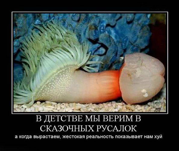Прикольные картинки и демотиваторы