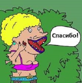 Забавные картинки из Сети