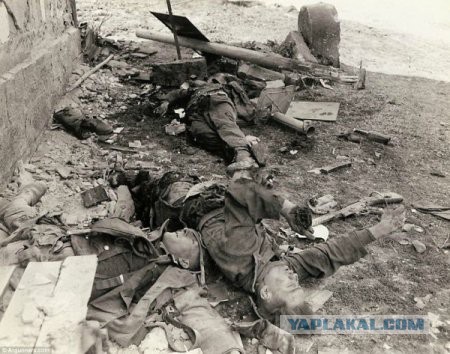 Опыт армий Рейха и СССР на 1941 год