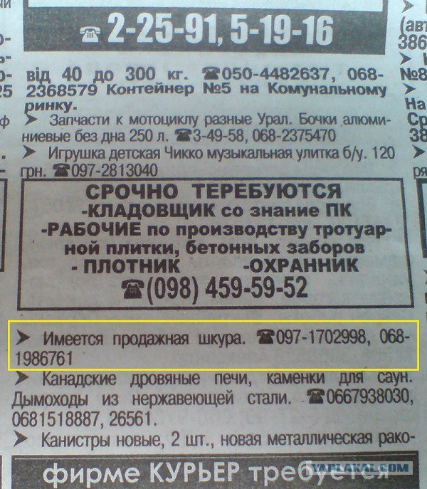 Бессмысленные и беспощадные объявления, вывески и реклама