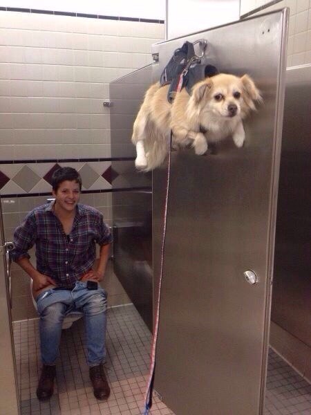 Подборка картинок 17.02.16