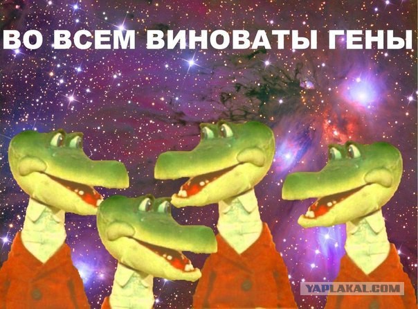 Дочь Кадырова признали самым одаренным учеником в Чечне