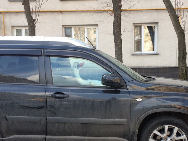 Прикольные и не очень картинки из сети