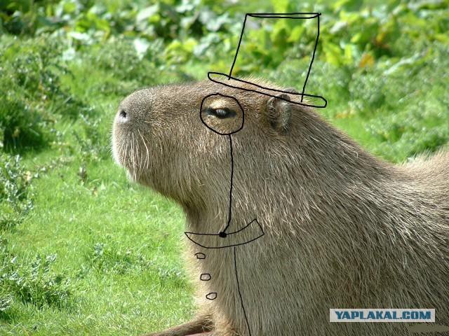 Да что вы знаете о милоте?