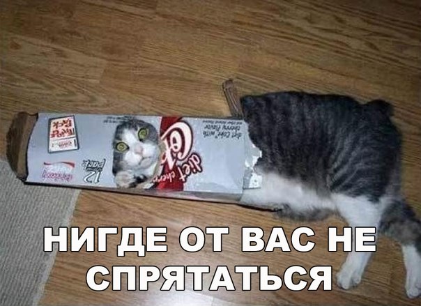 Мохнатые беспредельщики