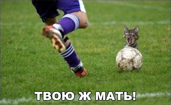 Подборка интересных и веселых фото