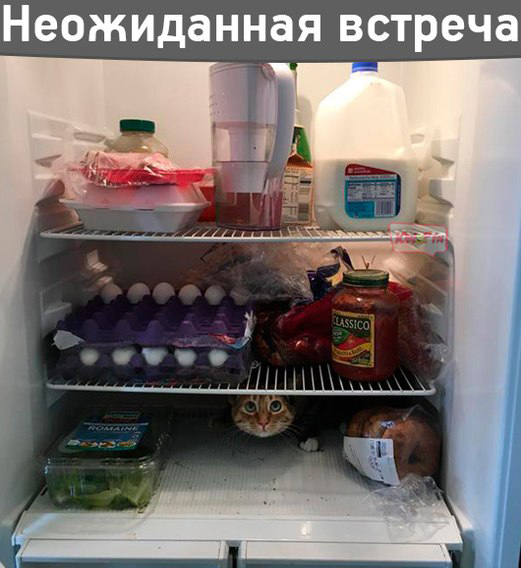 Порция позитива на вторник