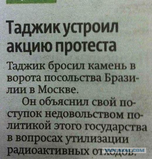 Весёлые картинки