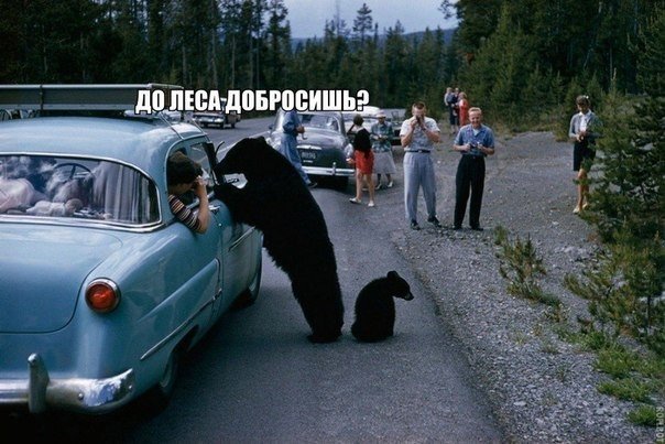 Немного картинок из этих ваших интернетов