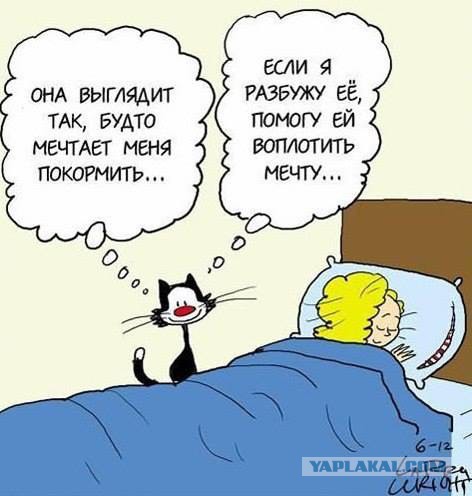 Подборка интересных и веселых картинок