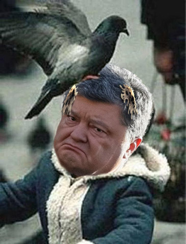 Путин поздоровался с голубем