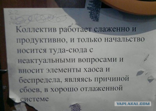 Картинки прикольные 25шт