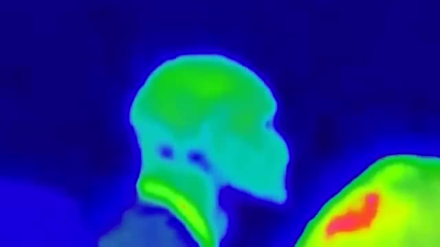 Власть чешуи. Как распознать рептилоида и кого уже вычислили